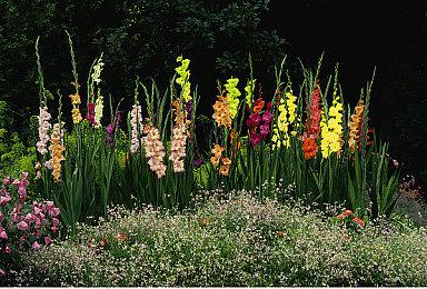 《脑航员2》新视频展示原作游戏导师Ford去向